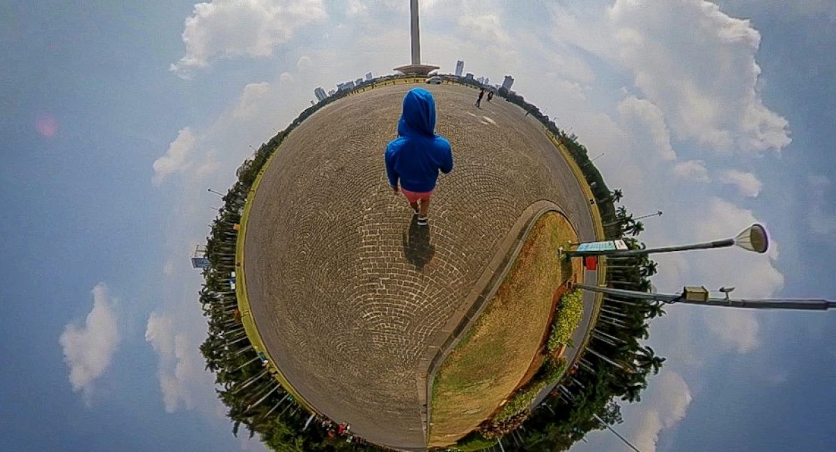 monas